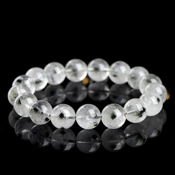 Bracelet en cristal d'oursin de mer naturel, 8/9/10/11/12/14mm