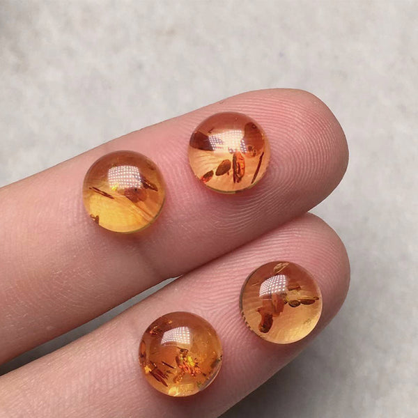 Natural Amber Round Cabochons, Heat Treated, 1 Piece, MFCA0506